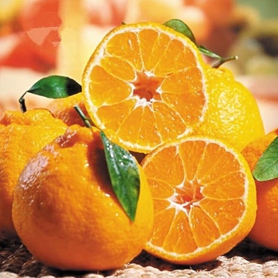 丑八怪 外丑内美的柑橘新贵