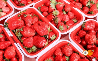 “贵果”飘香，惠泽民生——贵州省水果产业区域公用品牌产品惠民消费周在贵阳盛大举行